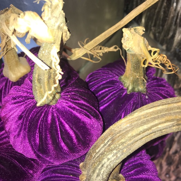 Velvet pumpkins - Picture 5 of 5